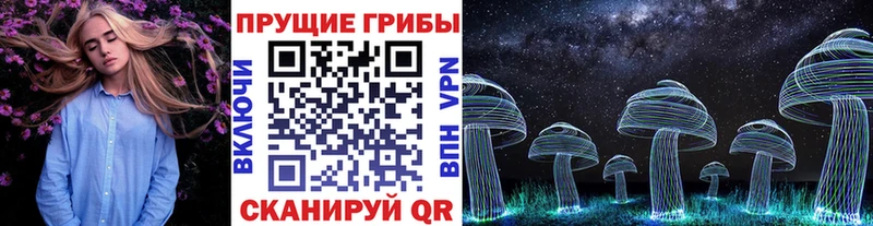 даркнет сайт Алексеевка Псилоцибиновые грибы мицелий